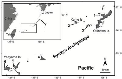 Seriatopora Diversity Preserved in Upper Mesophotic Coral Ecosystems in Southern Japan